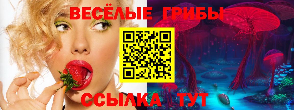 Галлюциногенные грибы Cubensis Первоуральск